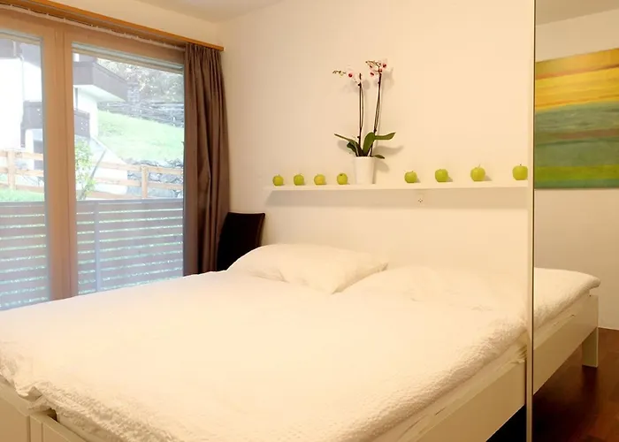 Apartman Superior Parrot *